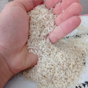 برنج محلی هاشمی گیلان